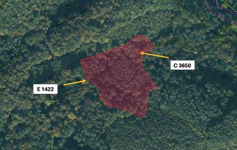 Revúca – 2.479 m2 LES  – PREDAJ - 5