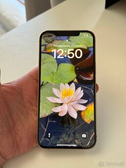 IPhone 12 Pro Max - 5