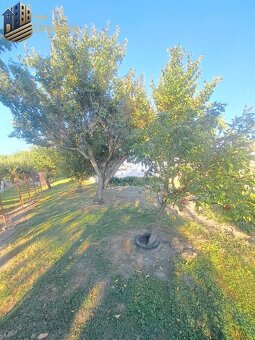 Rodinný dom s veľkým pozemkom v Kolárove – ideálny na bývani - 5