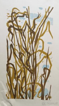 Edita Ambrušová - 5