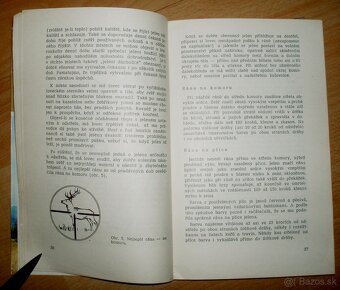 Lovecké praktikum - 5