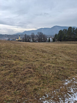 Predaj orná pôda Rajecká Lesná - 5