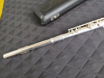 Master Student priecna flauta. - 5