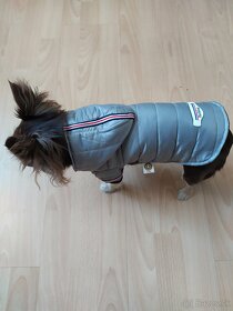 Teplá bunda pre malého psíka - 5