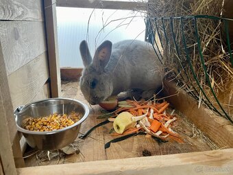 Predám VSS velký svetlý strieborný - 5