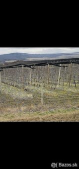 Predám siete na voliere - 5