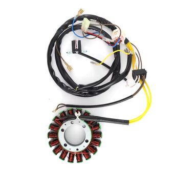 Polaris Scrambler,Sportsman stator - 5