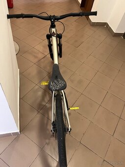 Ctm dirtking expert 2019 - 5