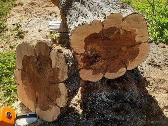 predám orechové drevo - 5