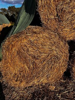Predám slamu - 5