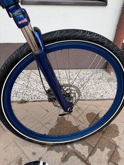 BMW Cruise Bike 2016 - 5