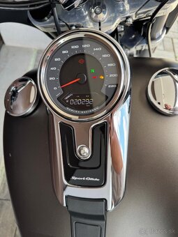 Harley-Davidson Sport Glide 2020, DPH - 5