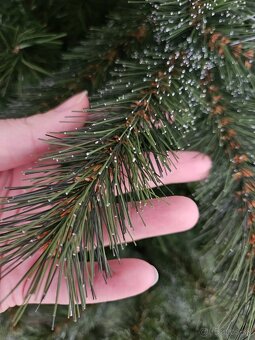 Vianocny stromcek - 5