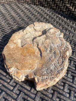 Predaj minerálov-Ametyst, Labradorit,skamenele drevo - 5