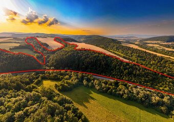 Rokycany – 125.140 m2 LESNÝ POZEMOK v podiele 1/1 - 5