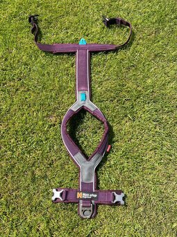 Non-stop dogwear model Line Harness 5.0 (staršia verzia) - 5
