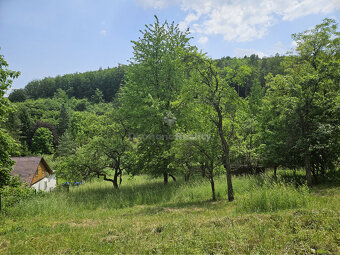 Na predaj stavebný pozemok v lese a napriek tomu len 10 minú - 5