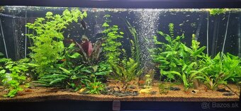 Akvárium Diversa 450l - 5