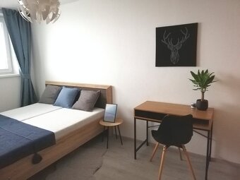 Apartment for short term rent / byt na krátkodobý prenájom. - 5