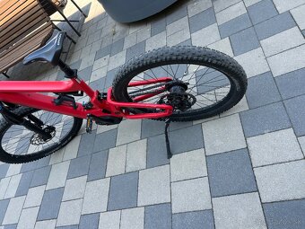 Riese & Müller Delite Rohloff 2020 - 5