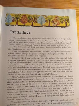 Biblie pre deti ilustrovana - 45 eur - 5