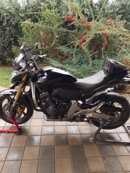 Honda Hornet CB 600f - 5