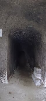 PONUKA ZA POLOVIČNÚ CENU-VÍNNA PIVNICA A STAVEBNÝ POZEMOK - 5