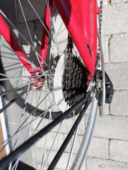 Retro bicykel Adratica Classic Danish - 5