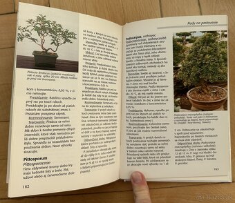 Kniha Izbové bonsaje Wolfgang Kawollek za 5eur - 5