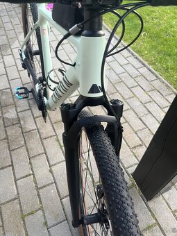Canyon Grizl 7 Trail - 5