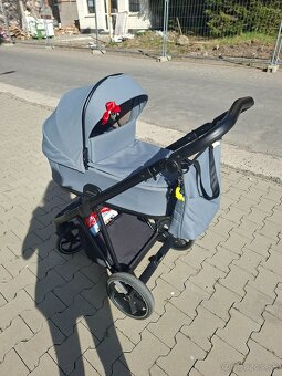 Roan ivi - 5