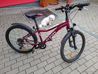 Detský bicykel 24 - 5