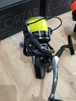 Delphin Korzar 8T - 5