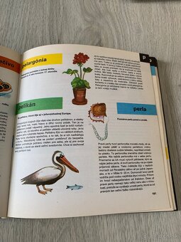 Detska encyklopedia - 5