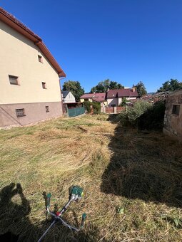 🌳 kosenie, orez / výrub stromov, ,odvoz 🌿 - 5