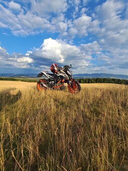 KTM Duke 390 (2021) - 5