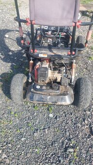 Buggy - 5