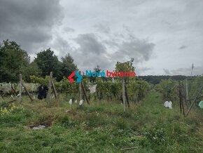 Predaj, pozemok - Kozárovce časť Staré vinice(N005-14-FRADa) - 5