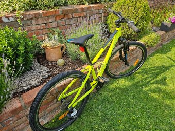 Bicykel Galaxy Pavo 24" yellow - 5