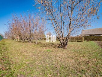 Rozľahlý pozemok s domom a lesíkom – ideálne pre hospodáreni - 5