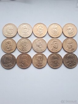 Dolare a mince USA - 5