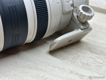 Canon EF 100-400mm f/4.5-5.6L IS USM - 5