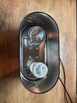 Terárium s chameleónom - 5