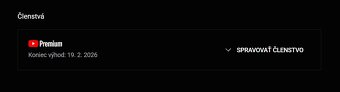 YouTube PREMIUM 12 M - 5