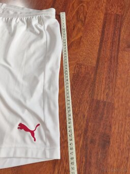 Pánské kraťasy AC Milan Puma Dry Cell – vel. L - 5