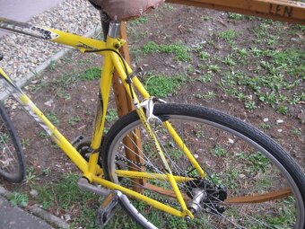 DEMA PRO Orion , Pionier 22, Dema Team frame race, - 5