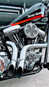 Harley Davidson Custom 300 - 5