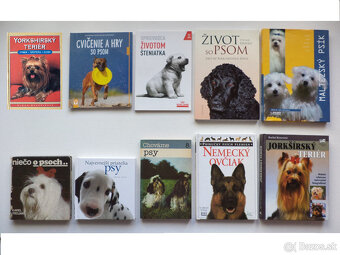 zvieratá, príroda, chov 1 - 5