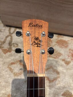 Koncertne Ukulele Laka polomasiv - 5