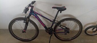 Dema Roxie 260 - 5